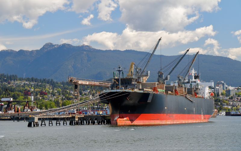 grain loaded in bulk carrier