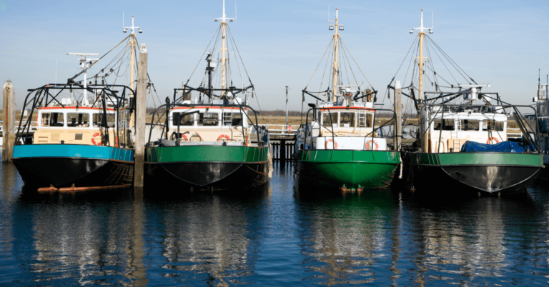 Different Types of Trawlers Used in the Shipping World