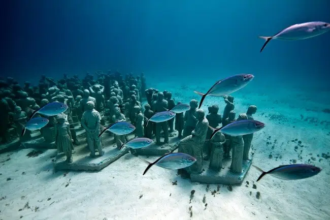 The Silent Evolution : An Artificial Coral Reefs With a Difference