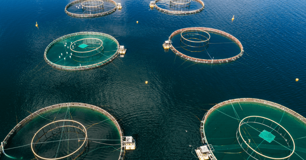 A Career in Aquaculture A General Overview