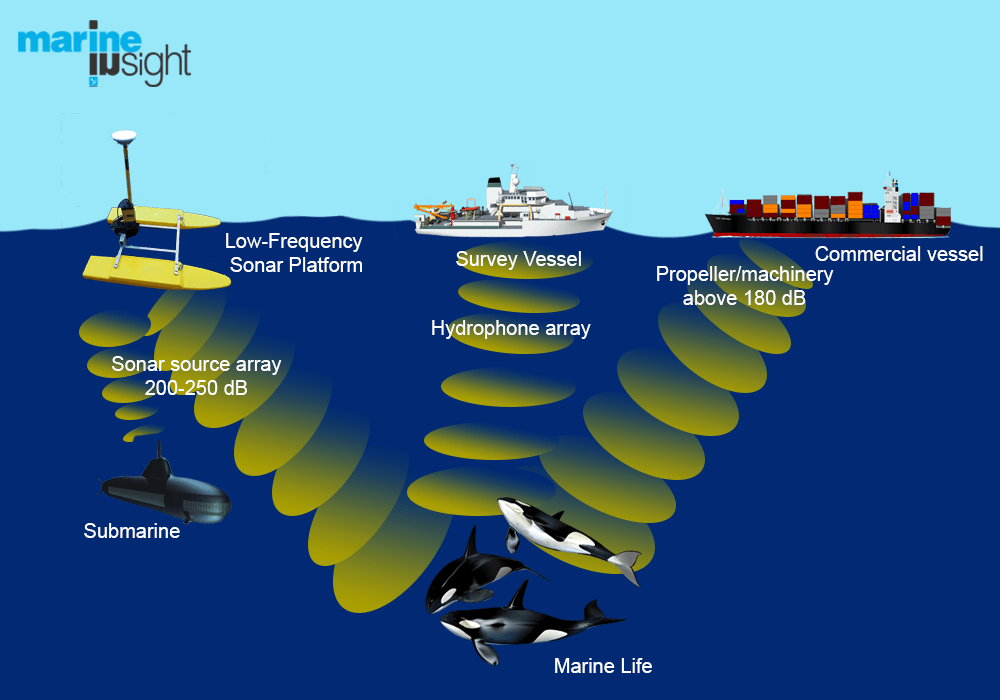 Shipping traffic causes too much noise for aquatic life. Excessive sound waves from ships disturb the ability of marine life to interpret natural sounds. Credits: Marine Insight