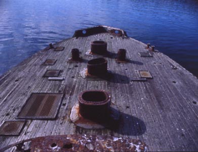 Ship Wreck of HMVS Cerberus