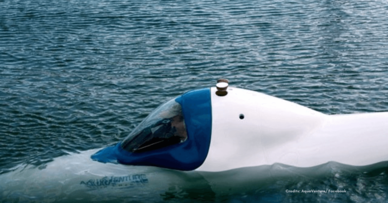 SeaBird – A Submersible without an Engine