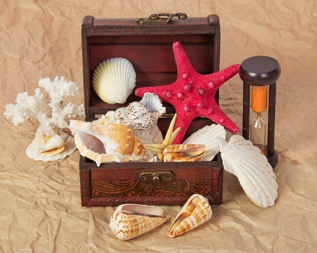 sea shells gift