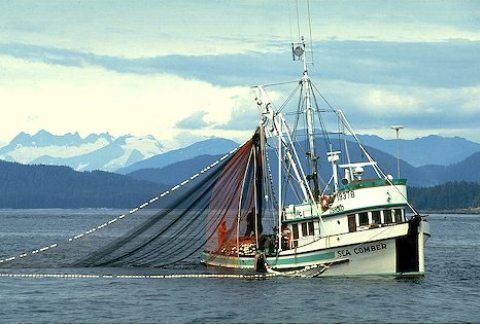 Types of Fishing Vessels