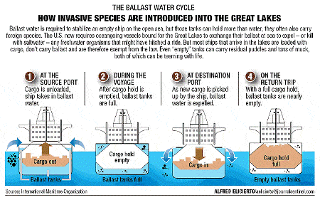 Cycle de l'eau de ballast