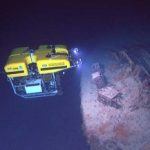 ROV discovers a reef