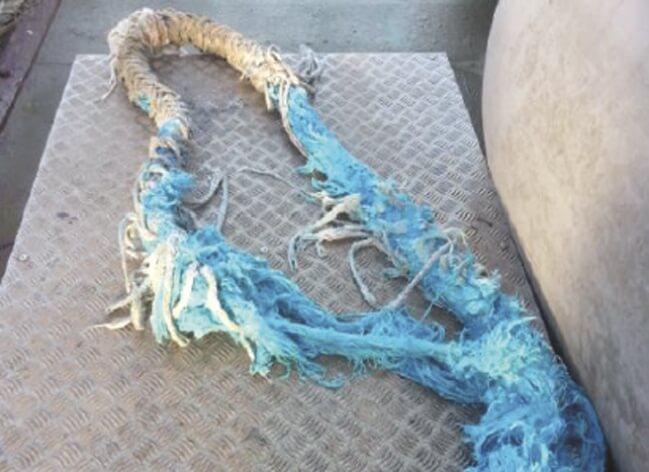 damaged rope