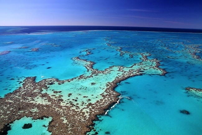 Claims Of Dramatic Loss Of Great Barrier Reef Corals Are False: Prof. Peter Ridd
