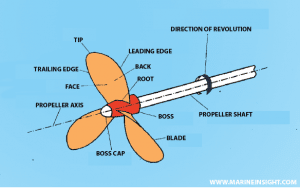Parts of screw propeller