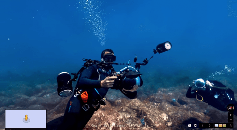Video: Google Maps The Ocean With Underwater Street View