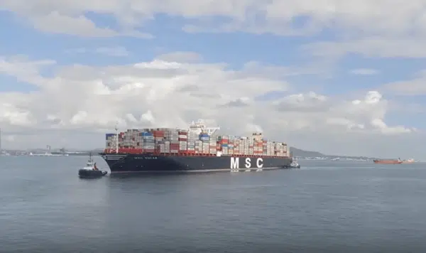 Watch: All The World’s Largest Ships In Service