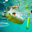plastic waste floating on water