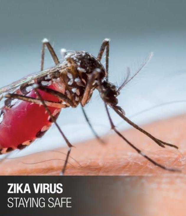 KVH Offers New Zika Virus Safety Video Free to All Mariners Worldwide
