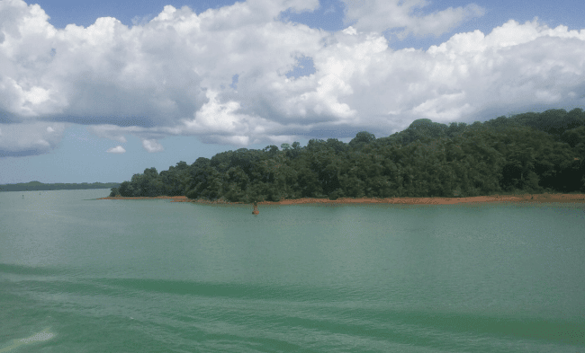 The Gatun Lake