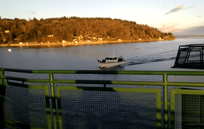 boat collision