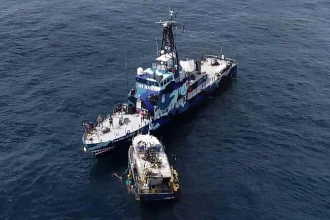 Watch: Sea Shepherd Vessel Rammed And Threatened By Fishing Boat In Panama