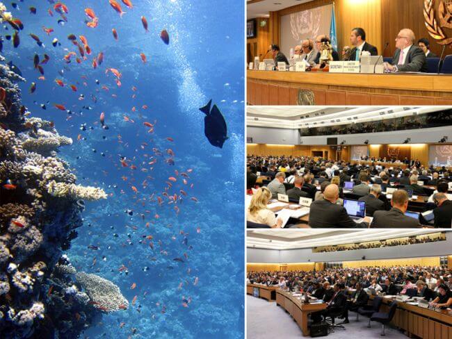 IMO’s MEPC To Implement BWM Convention