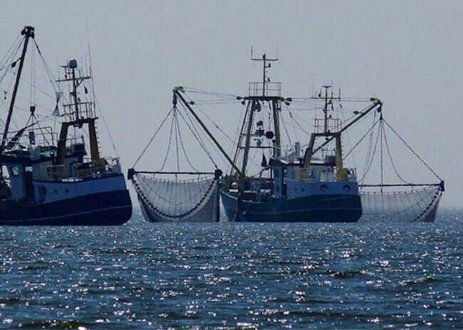 UN Criticises Irish Work Permit Scheme For Foreign Fishers