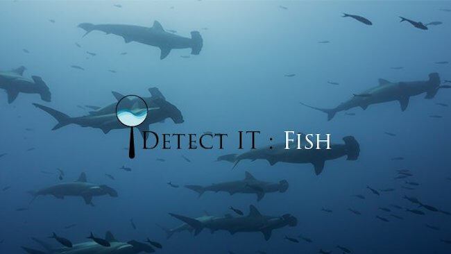 TRAFFIC, WWF and HP To Save The Oceans With New Tool To Detect Illegal Fishing