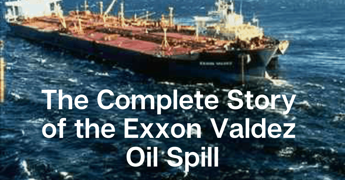 exxon valdez oil spill case study