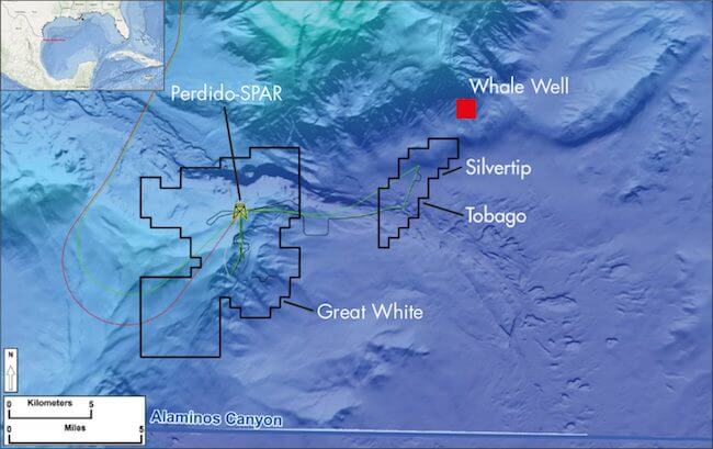 Shell Announces One Of Its Largest Deep-Water Discovery In Gulf Of Mexico