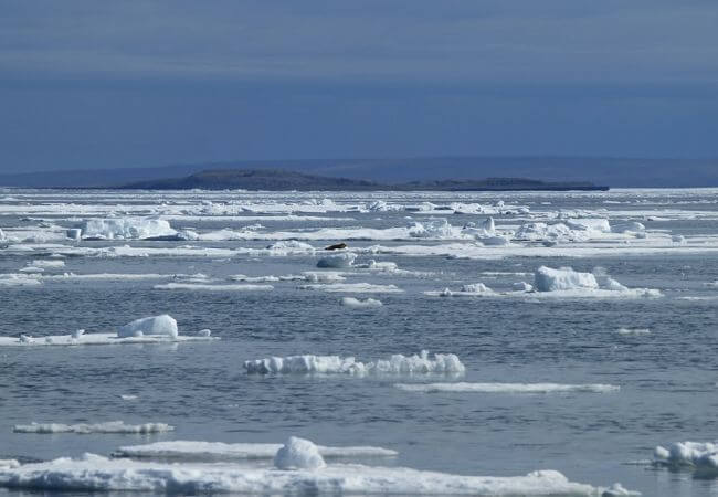 sea-ice-arctic