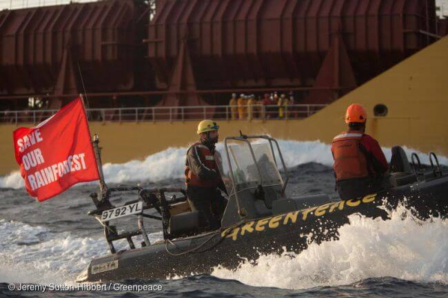 Six Greenpeace Activists Arrested On Board Ship Loaded With Palm Oil