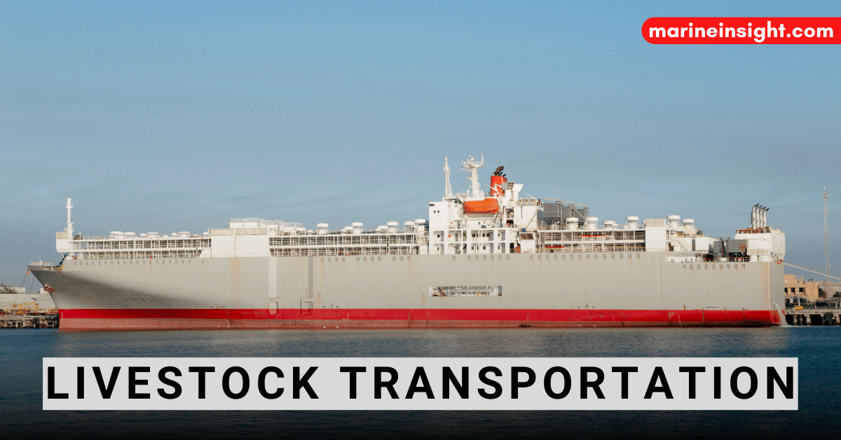 How is Livestock Transportation Done Using Livestock Carriers?