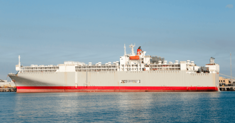 How is Livestock Transportation Done Using Livestock Carriers?