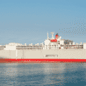 Livestock Carriers