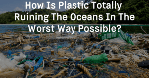 How Is Plastic Totally Ruining The Oceans In The Worst Way Possible?
