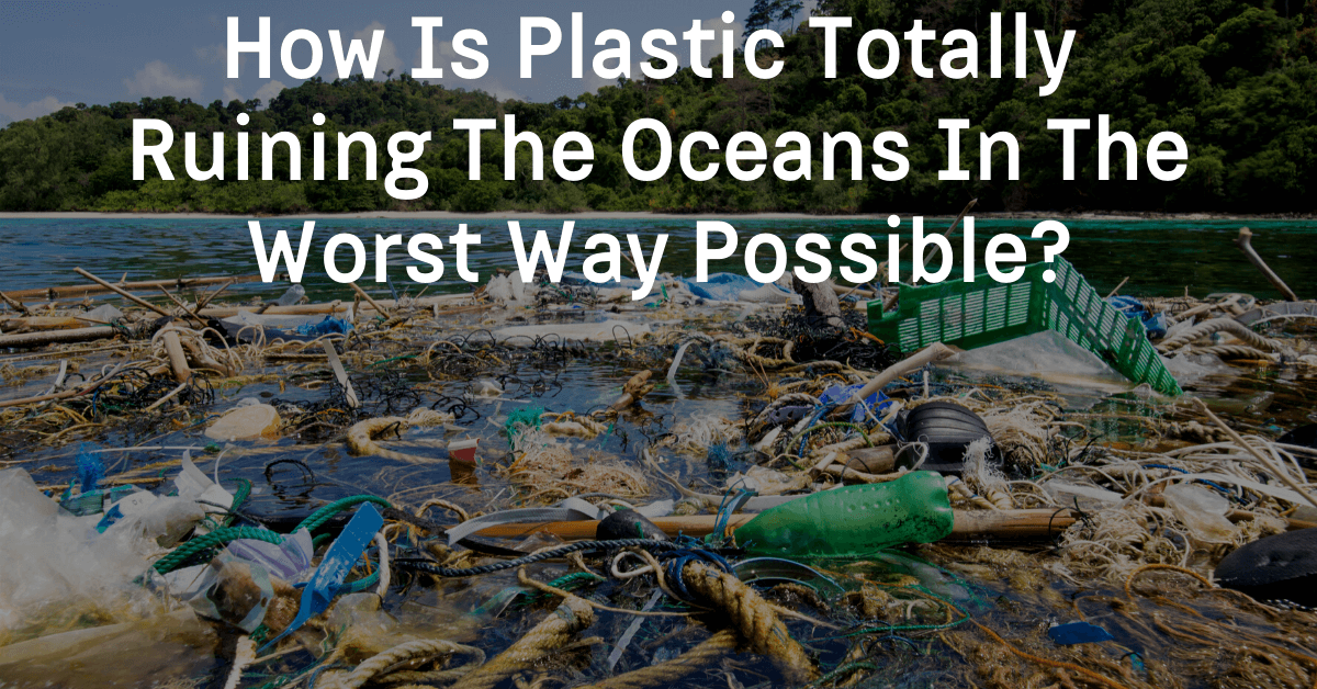 How Is Plastic Ruining The Oceans In The Worst Way Possible?