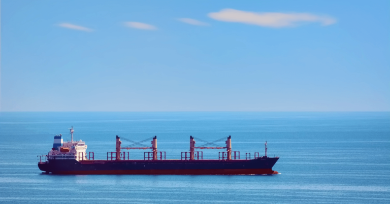 What are Bulk Carrier Ships?