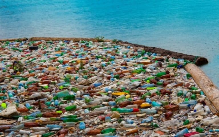 Marine Pollution by Ships -Tips for Reducing & Recycling Waste at Sea