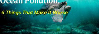 Ocean Pollution 6 Things That Make It Worse
