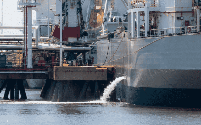 How Ballast Water Treatment System Works?