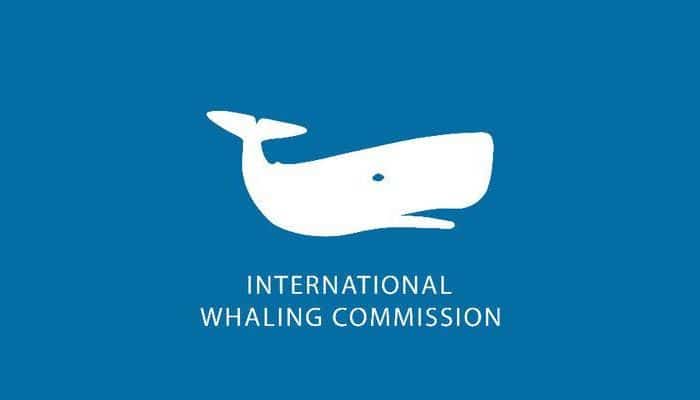 The International Whaling Council