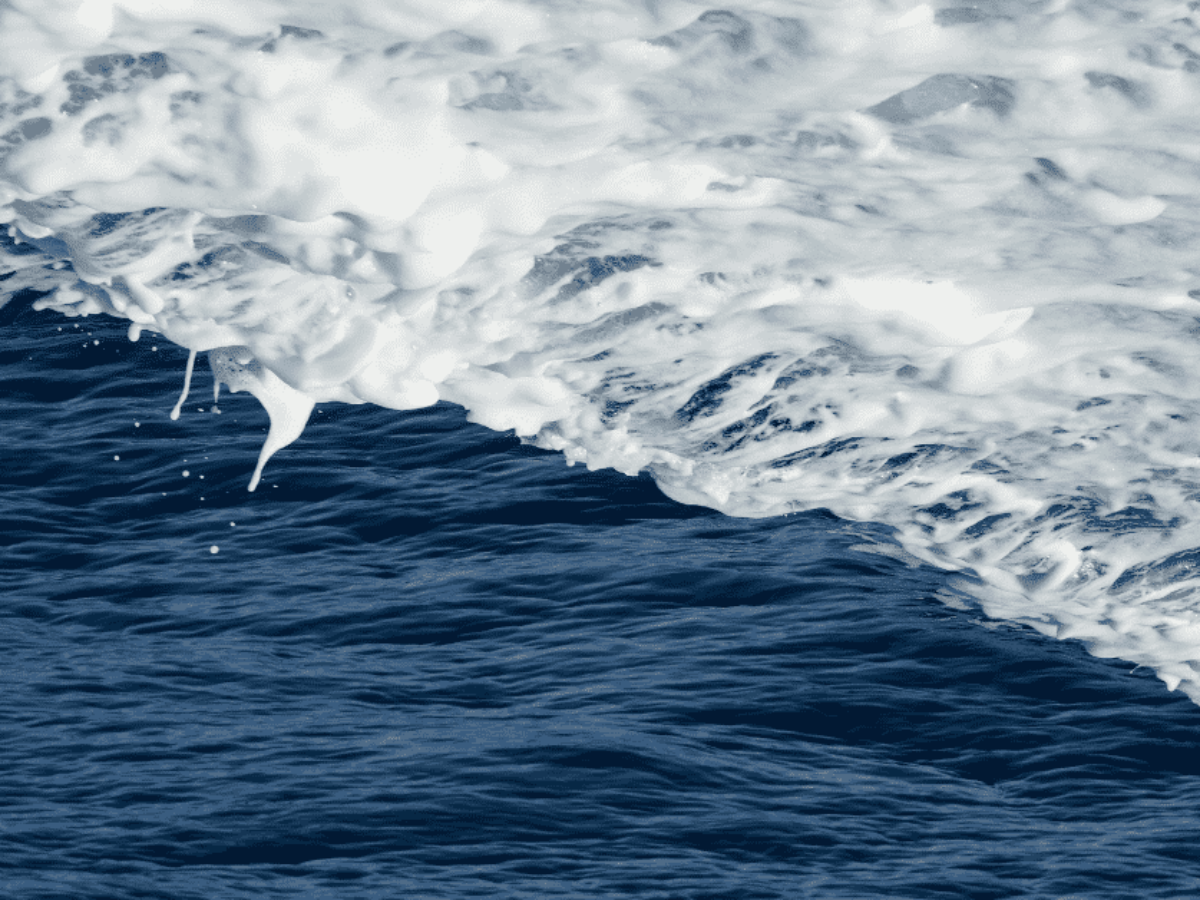 The chemistry behind sea foam