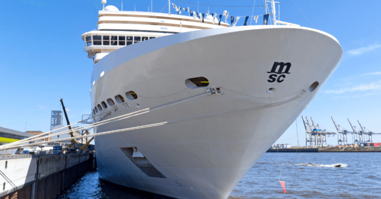 The Incredible MSC Fantasia Cruise Ship