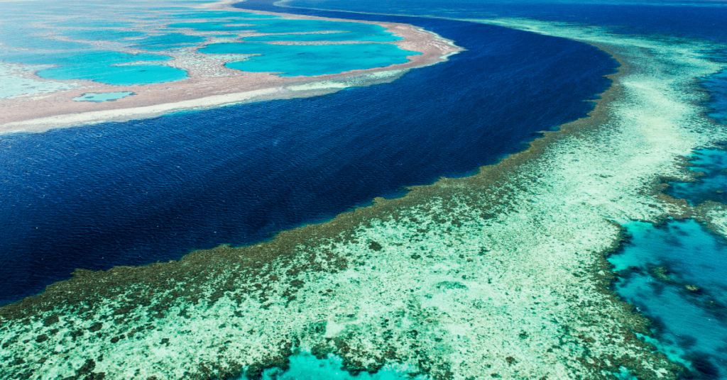 Threats to the Great Barrier Reef from the Shipping World