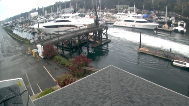 Watch: Yacht Slams Dock, Damages Vessels At Port Angeles Boat Haven