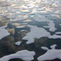 Arctic Ocean could be ice-free for part of the year as soon as 2044
