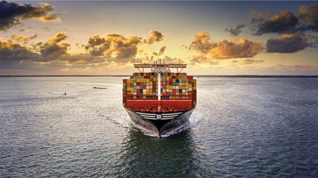 MSC container ship representation