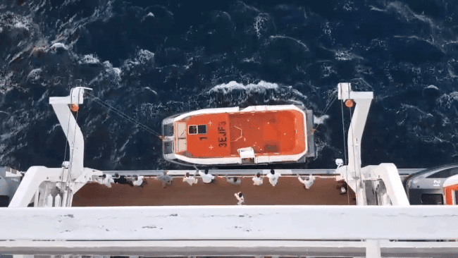 MSC Cruise Rescues Man Overboard After Searching An Hour