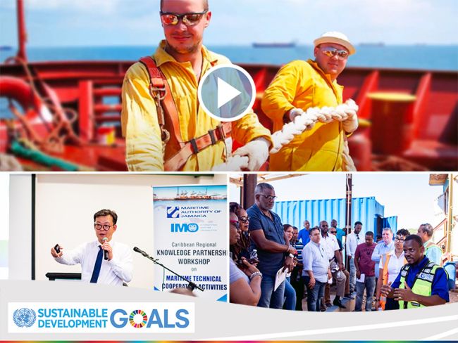 New video highlights benefits of working with IMO