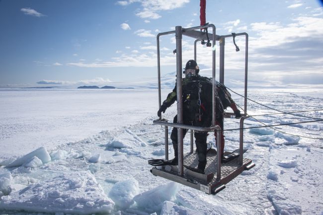US’ Only Heavy Icebreaker Completes Antarctic Treaty Inspections_Senior Chief Petty Officer NyxoLyno Cangemi