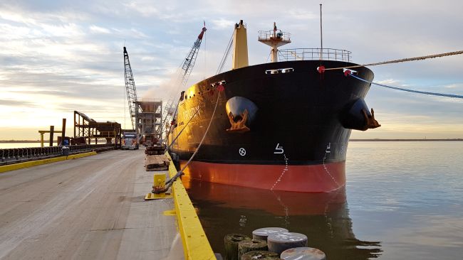 Bulk carrier MV Trudy, part of MINSHIP’s managed fleet