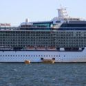 Morrison Government condemned for treatment of cruise ship crews