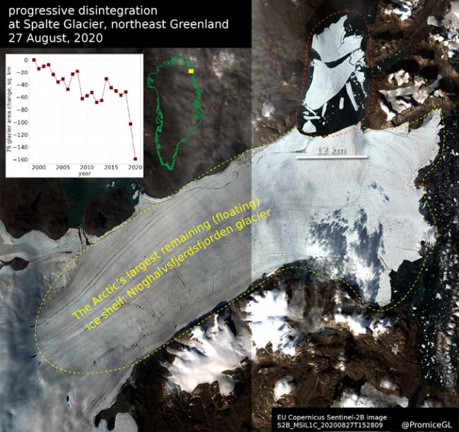 The red area in the optical satellite image shows the ice lost the past two years from the part of the Nioghalvfjerdsfjorden Glacier called Spalte Glacier that calves into Djimphna Sund. An area of 113 km2 has been lost. Source: Copernicus Sentinel data modified by GEUS.